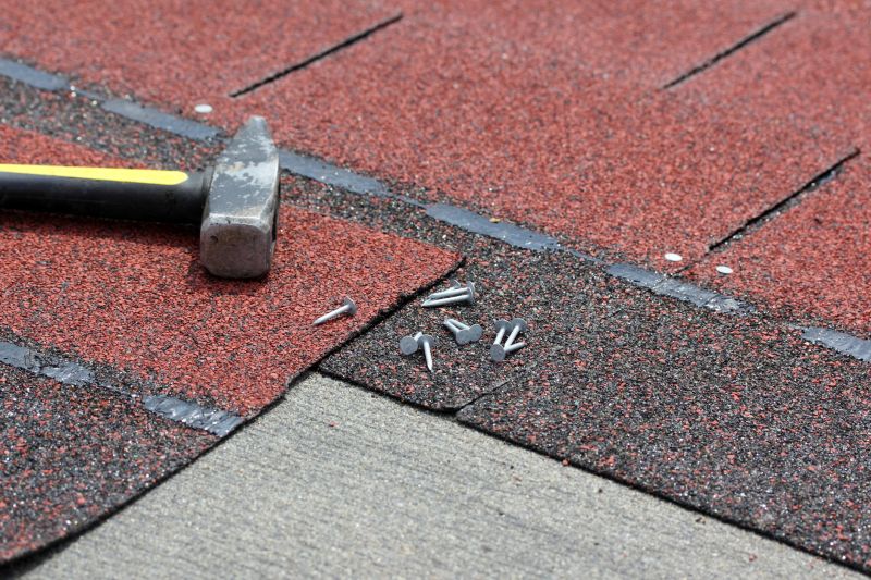 Shingle Repair Expert