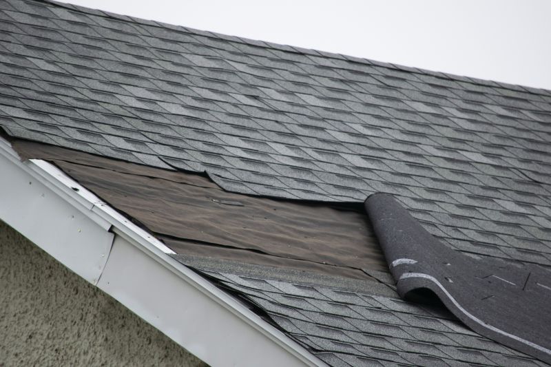 Expert Asphalt Shingle Repair