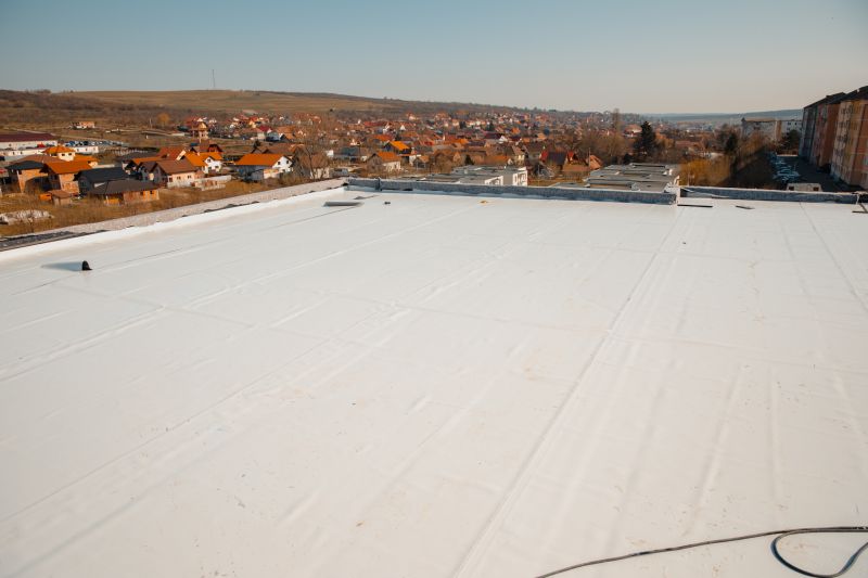 Professional Roof Installation
